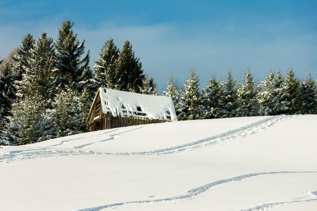 Klosterhuegel Apartment Haus im Ennstal